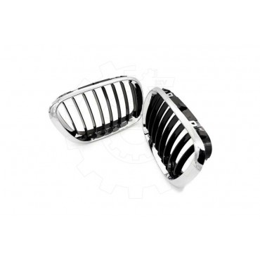 2 Grilles de Radiateur Pour BMW X5 E53 51137113733 51138402645