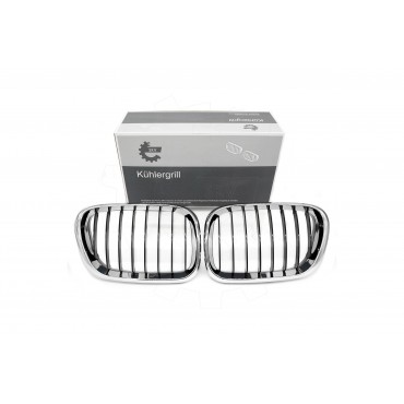 2 Grilles de Radiateur Pour BMW X5 E53 51137113733 51138402645