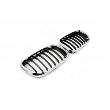2 Grilles de Radiateur Pour BMW X5 E53 51137113733 51138402645