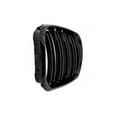 2 Grilles de Radiateur Pour BMW X5 E53 51137113733 51138402645