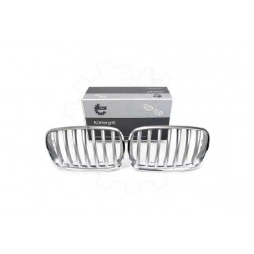 2 Grilles de Radiateur Pour BMW X5 E70 51712150246