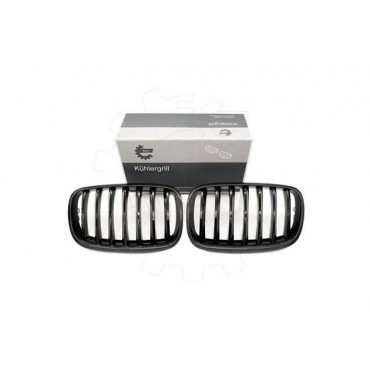 2 Grilles de Radiateur Pour BMW X5 E70 51712150246