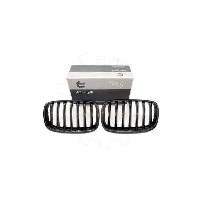 2 Grilles de Radiateur Pour BMW X5 E70 51712150246