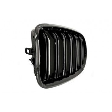 2 Grilles de Radiateur Pour BMW X5 E70 51712150246