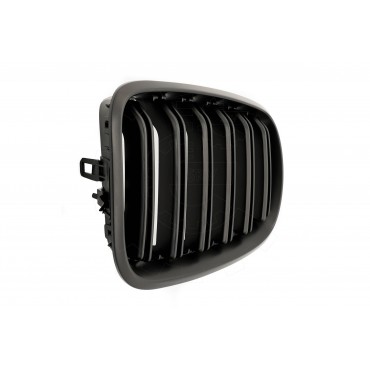 2 Grilles de Radiateur Pour BMW X5 E70 51712150246