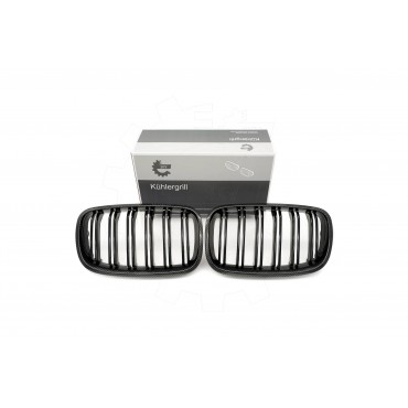 2 Grilles de Radiateur Pour BMW X5 E70 51712150246