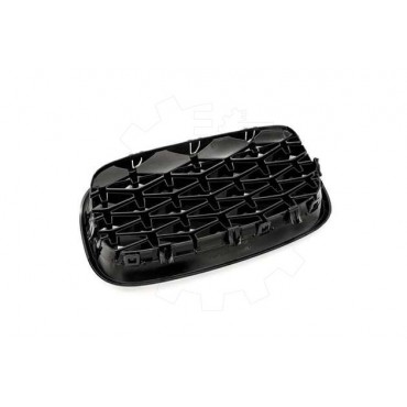 2 Grilles de Radiateur Pour BMW X5 E70 51712150246