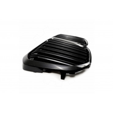 Grille de Radiateur Pour BMW X7 G07 51138745730