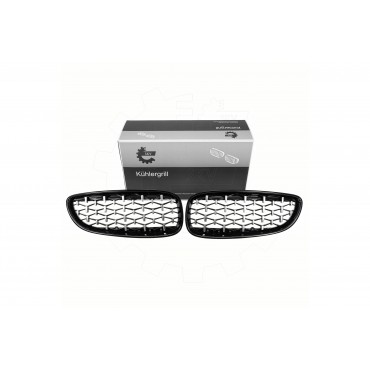 2 Grilles de Radiateur Pour BMW Z4 E89 51137191509