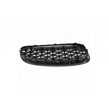 2 Grilles de Radiateur Pour BMW Z4 E89 51137191509