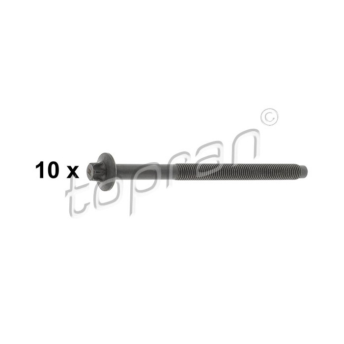 Jeu Vis de Culasse Pour Peugeot Opel Fiat Ford 0204C5 3642418S 9642546980 020557