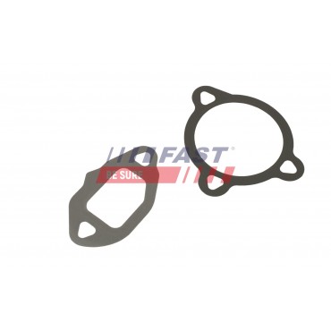 Joints Vanne EGR Pour Peugeot Renault Modus R19 Dacia VW EOS Golf Plus V