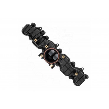 Collecteur d'Admission Pour Ford Ranger 1770539