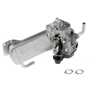 Vanne EGR Pour VW Multivan V VI Transporter 3L131512BM 3L131512CB 3L131512CC