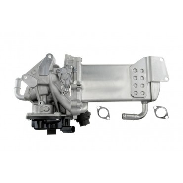 Vanne EGR Pour VW Multivan V VI Transporter 3L131512BM 3L131512CB 3L131512CC