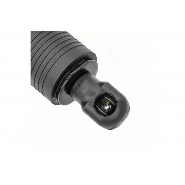 Vérin Hayon de Coffre Pour Audi A5 8W8827851 8W8827851A 8W8827851C 8W8827851D