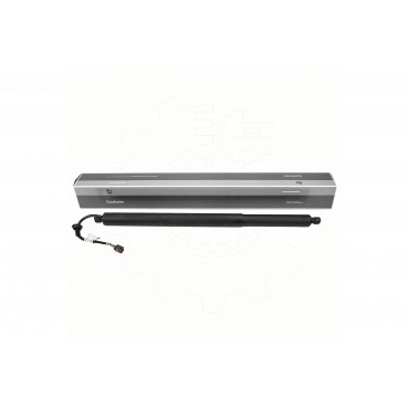 Vérin Hayon de Coffre Pour Audi E-Tron 4KE827851 4KE827851A 4KE827851B