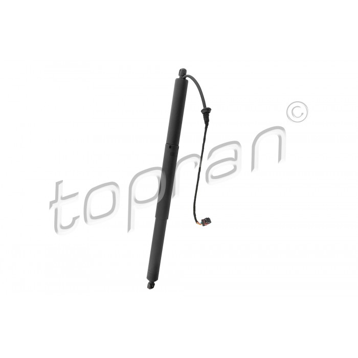 Vérin Hayon de Coffre Pour Audi Q2 81A827851 81A827851A 81A827851B 81A827851C