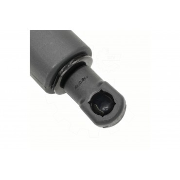 Vérin Hayon de Coffre Arrière Gauche Pour BMW Série 3 F34 51247298983