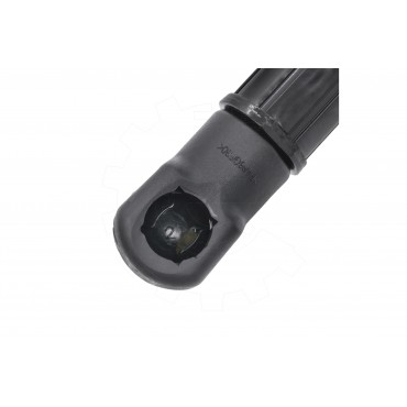 Vérin Hayon de Coffre Pour BMW Série 5 G31 51249482791