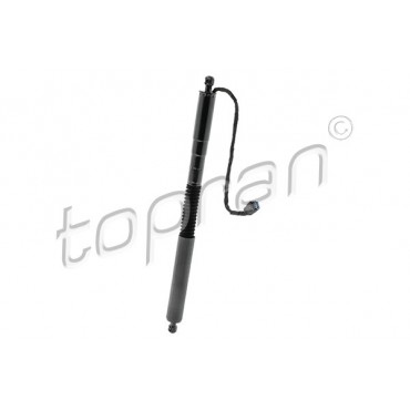 Vérin Hayon de Coffre Arrière Droit Pour BMW X3 F97, G01, G08 51247397322