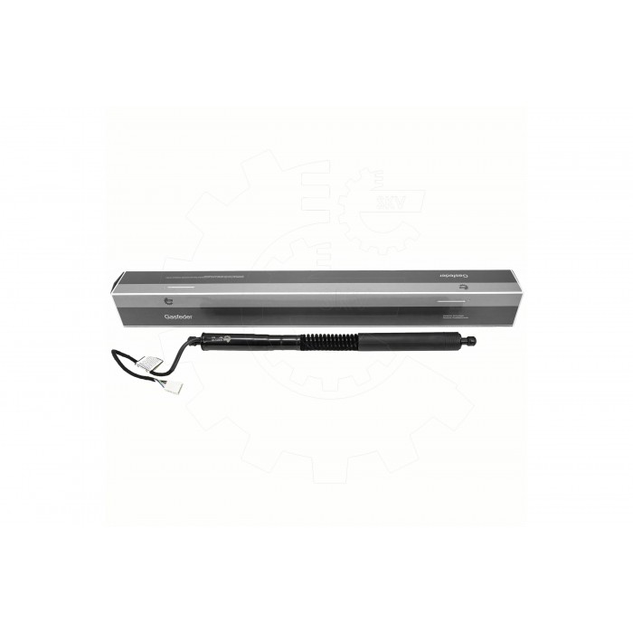 Vérin Hayon de Coffre Arrière Droit Pour BMW X3 F97, G01, G08 51249482795