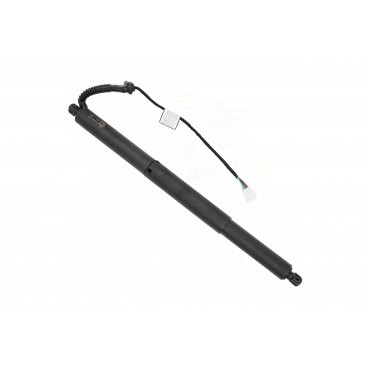 Vérin Hayon de Coffre Arrière Droit Pour BMW X5 F15, F85 4823280 51244823280