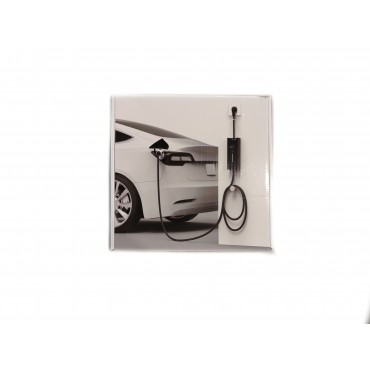 EV Charger câble recharge véhicule électrique TYPE 2 - Monophasé 7kwh 32A