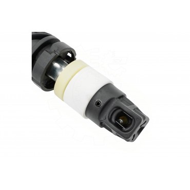 Vérin Hayon de Coffre Pour BMW X5 F95, G05 51247461669 51249482804