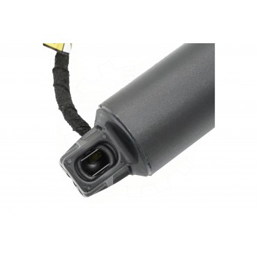 Vérin Hayon de Coffre Pour BMW X5 F95, G05 51247461669 51249482804