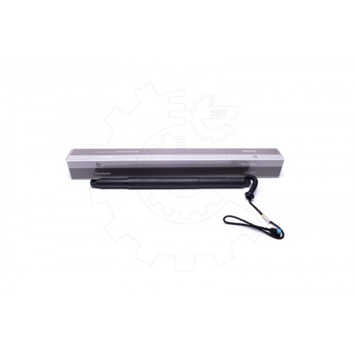 Vérin Hayon de Coffre Arrière Gauche Pour BMW X6 F16, F86 51247434043