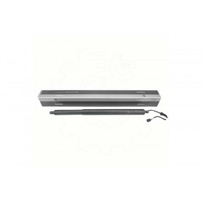 Vérin Hayon de Coffre Arrière Droit Pour Hyundai Palisade 81841S8100