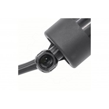 Vérin Hayon de Coffre Pour Infiniti FX QX70