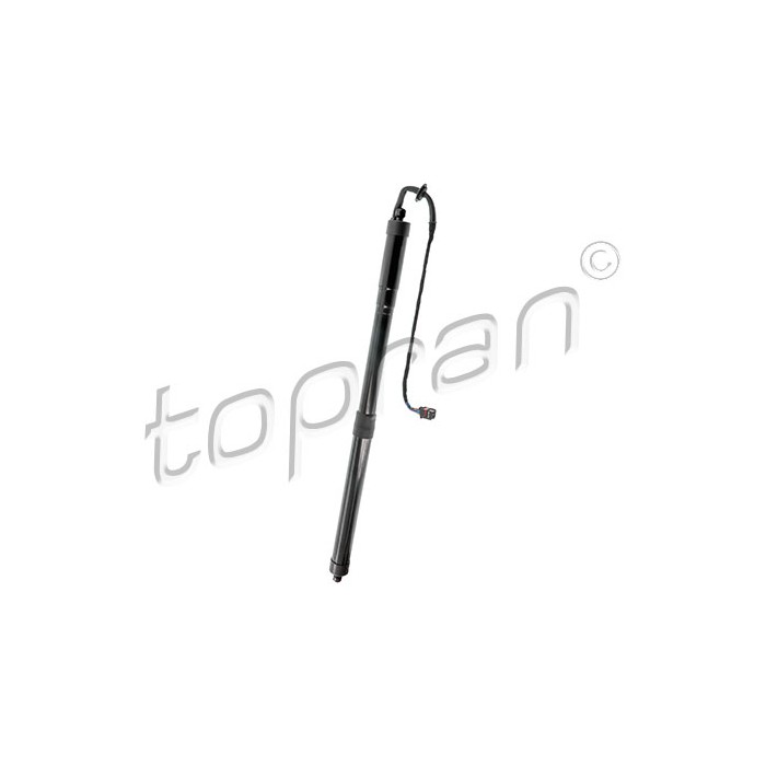 Vérin Hayon de Coffre Pour Land Rover Range Rover Evoque LR081964 LR105392