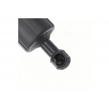 Vérin Hayon de Coffre Arrière Droit Pour Lexus UX 6801076010