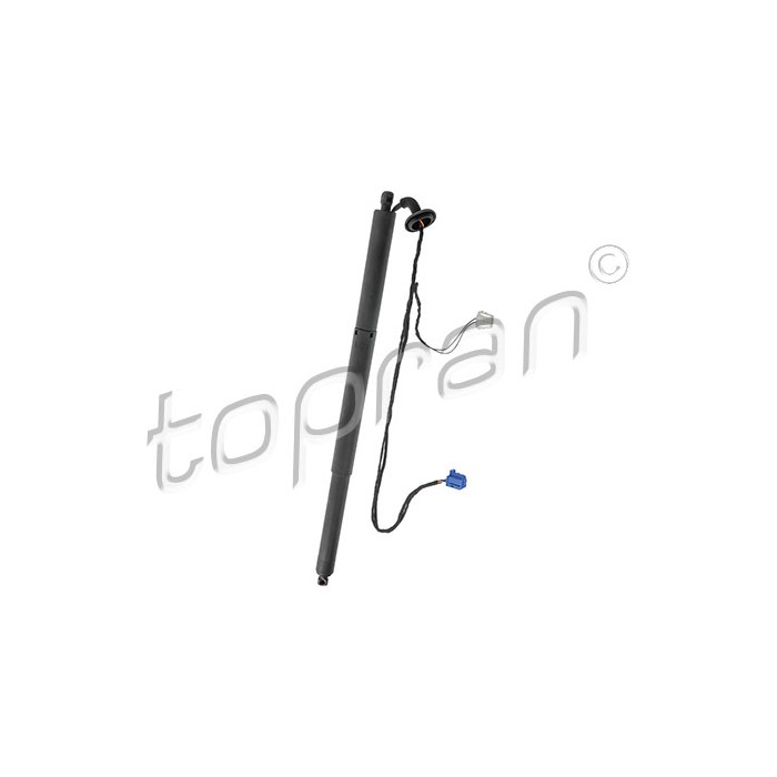 Vérin Hayon de Coffre Arrière Gauche Pour Mercedes-Benz Classe GLA 1568900130