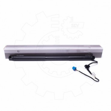 Vérin Hayon de Coffre Arrière Droit Pour Mercedes-Benz Classe M 1668900000