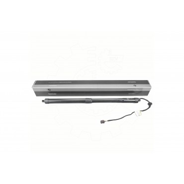 Vérin Hayon de Coffre Pour Nissan Pathfinder IV 905609PJ0A