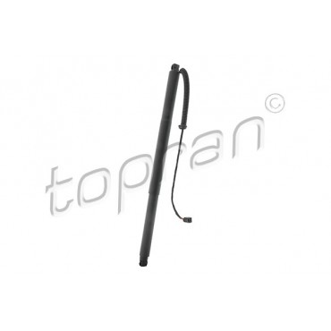 Vérin Hayon de Coffre Pour VW Tiguan Seat Tarraco 5NA827851 5NA827851905