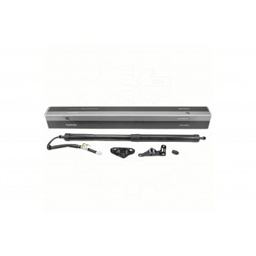 Vérin Hayon de Coffre Arrière Droit Pour Toyota Highlander 6891009020