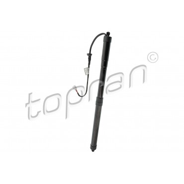 Vérin Hayon de Coffre Pour Toyota RAV 4 V 6891042060