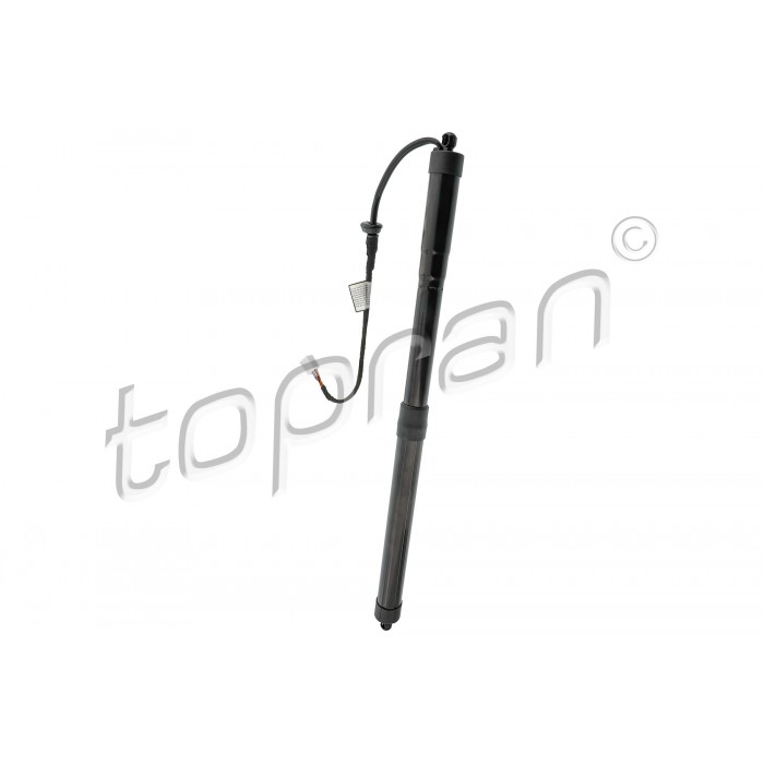 Vérin Hayon de Coffre Pour Toyota RAV 4 V 6891042060