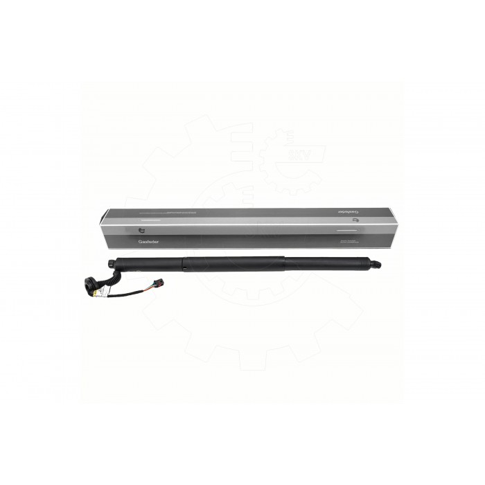 Vérin Hayon de Coffre Arrière Gauche Pour Volvo C40 31690926