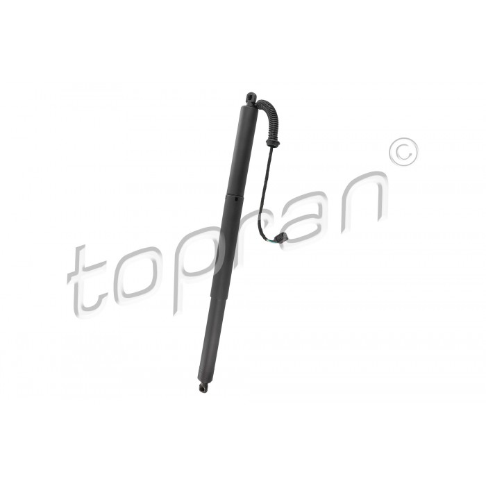 Vérin Hayon de Coffre Pour VW Arteon 3G8827851 3G8827851A 3G8827851B 3G8827851C