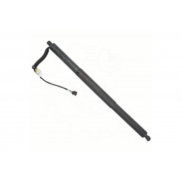 Vérin Hayon de Coffre Pour VW Arteon 3G8827851 3G8827851A 3G8827851B 3G8827851C