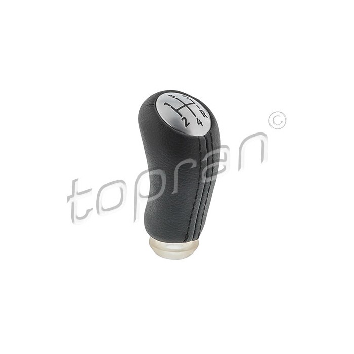 Pommeau Levier de Vitesse Pour Renault Clio II III Logan Modus Sandero Twingo