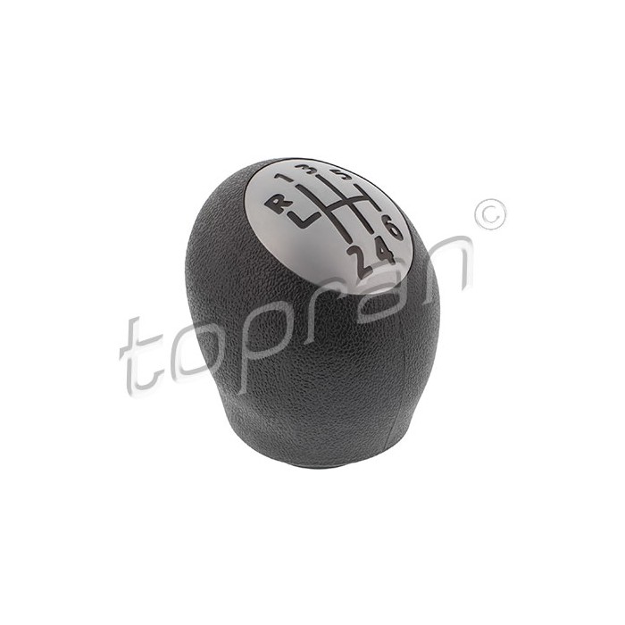 Pommeau Levier de Vitesse Pour Renault Duster Fluence Grand Scénic III Dacia