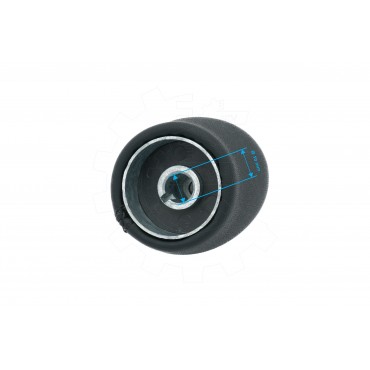 Pommeau Levier de Vitesse Pour Iveco Daily Citys IV V VI 42556211 42561576