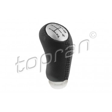 Pommeau Levier de Vitesse Pour Renault Grand Scénic II Megane 8200596154