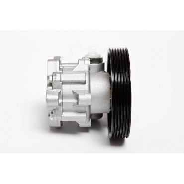 Pompe de Direction Assistée Pour Peugeot Partner Citroën Berlingo 4007VR